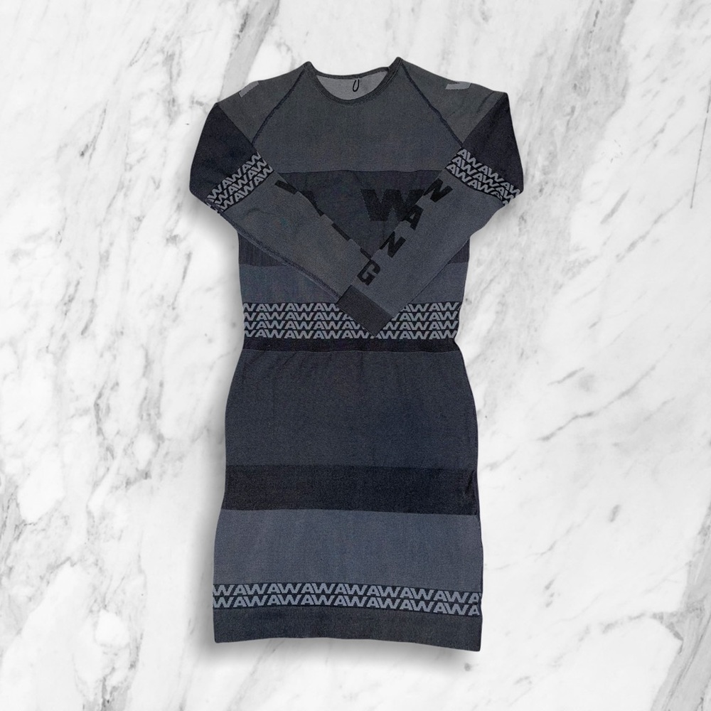 Alexander Wang x H&M Dress